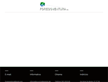 Tablet Screenshot of foregoventura.com